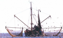 Kutter im Wattenmeer